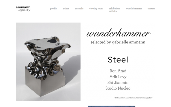 ammann-gallery.com