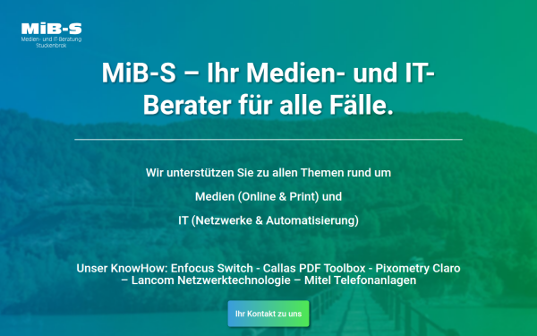mib-s.de