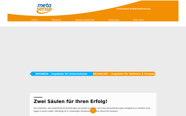 www.meta-sense.at