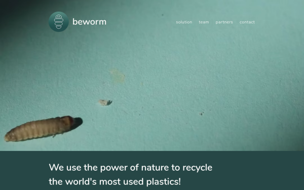 www.beworm.org
