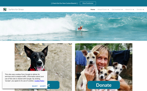 www.surfersforstrays.org