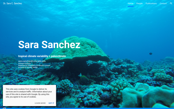 www.saracsanchez.com