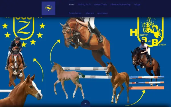 www.holsteinerpferde-aus-bayern.de