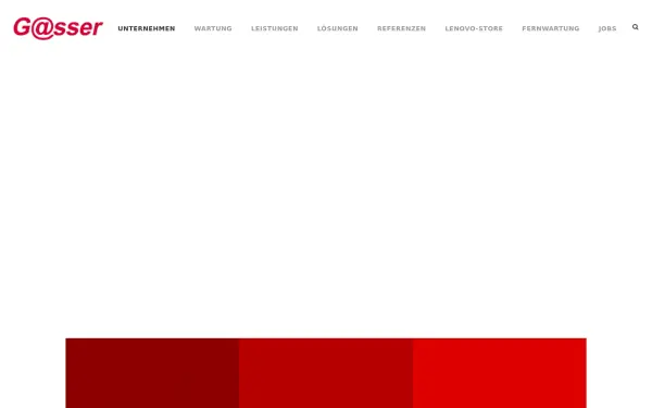 www.gasser.de