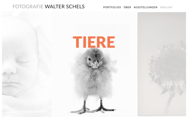 walterschels.com