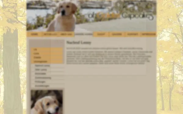 www.goldencupcakes.de