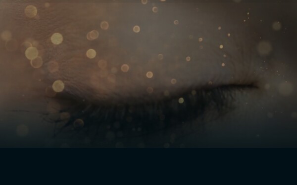 www.pluscity.at