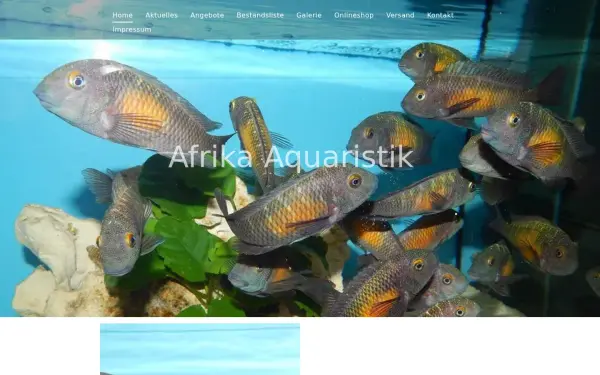 www.afrika-aquaristik.com