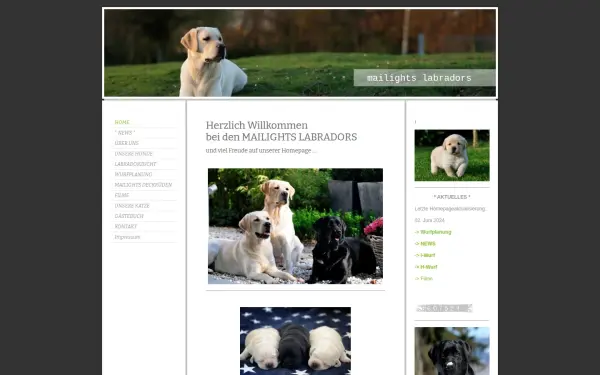 www.mailights-labradors.de