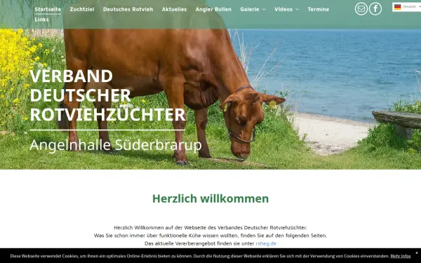 www.angler-rind.de