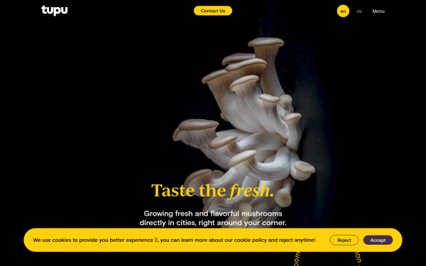 www.heytupu.com