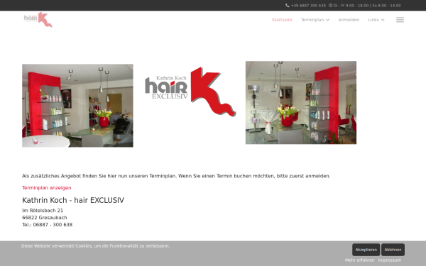 hairexclusiv.de