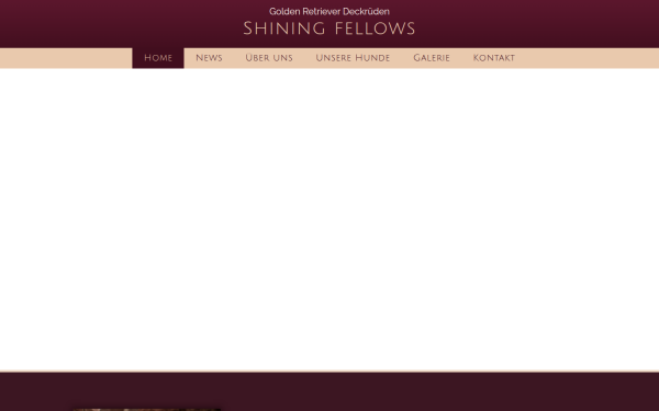 shining-fellows.de