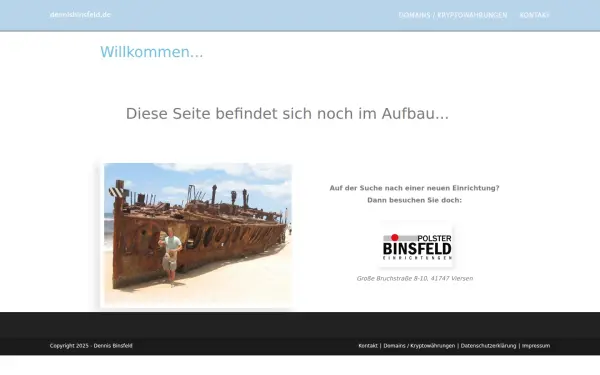 www.dennisbinsfeld.de