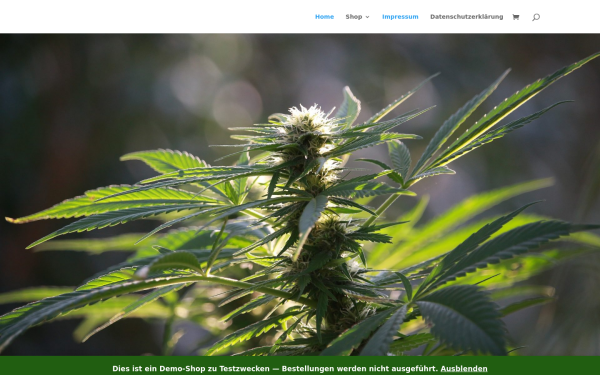 greenstore24.de