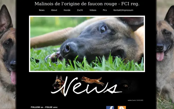 www.malinois-dmc.de