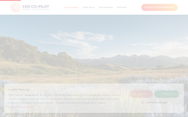 www.ceo-copilot.com