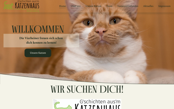 www.katzenhausabensberg.de