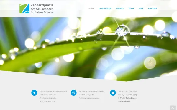 zahnarzt-seukendorf.de