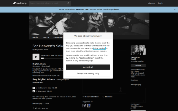hopelessyouth.bandcamp.com