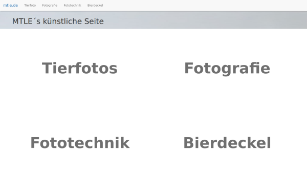 mtle.de