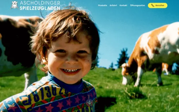 ascholdingerspielzeugladen.de