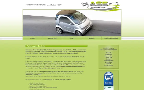 ase-enderle.de
