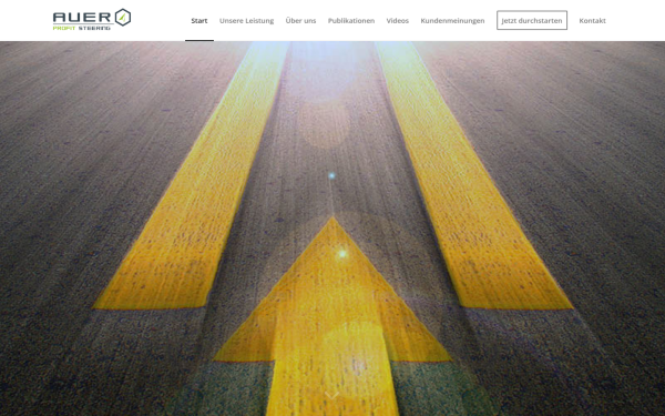 www.auerprofitsteering.at