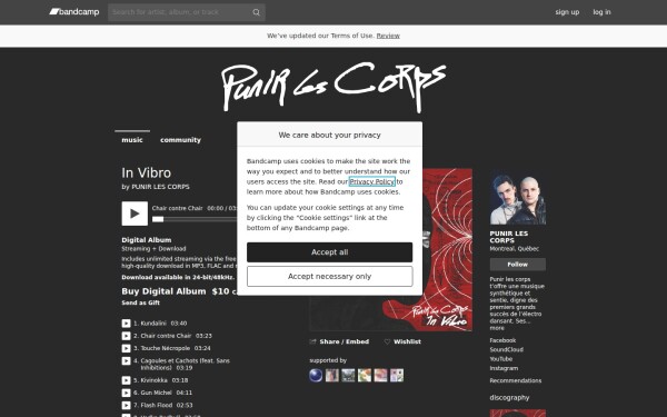 punirlescorps.bandcamp.com