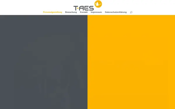 www.t-aes.de