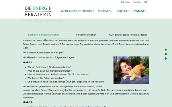 www.dieenergieberaterin.at