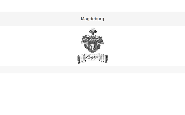 magdeburg-net.de
