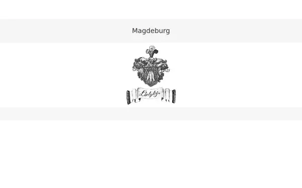 magdeburg-net.de