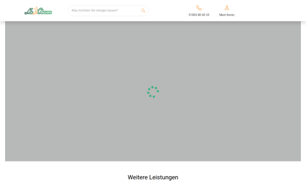 www.mrcleaner.de