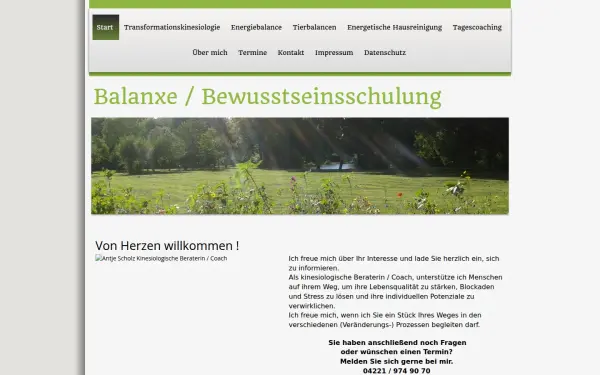 balanxe.de