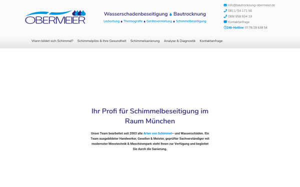 schimmelbeseitigung-muenchen.de