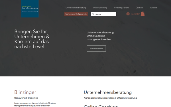 www.blinzinger-partner.consulting
