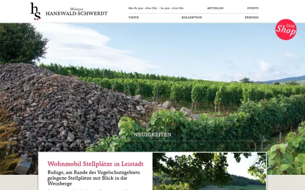 www.hanewald-schwerdt.de