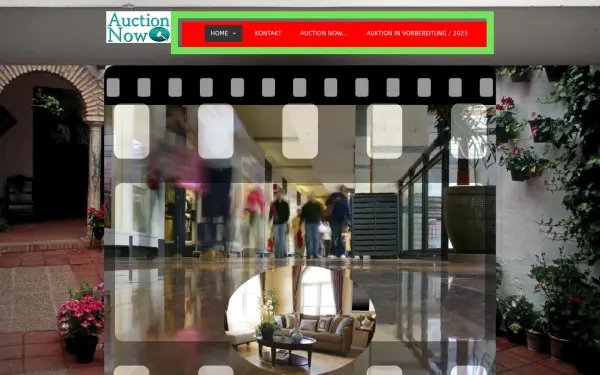 www.auctionnow.de