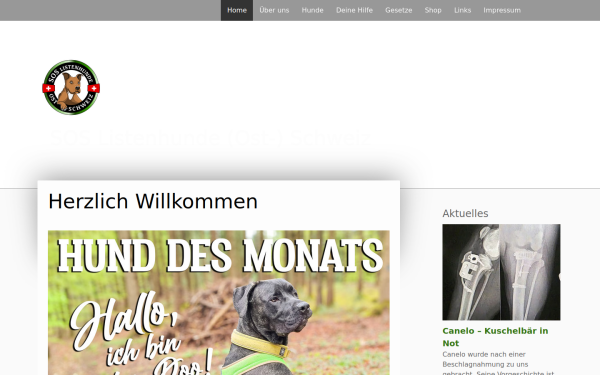 www.soslistenhunde-schweiz.ch