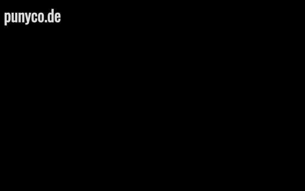 punyco.de