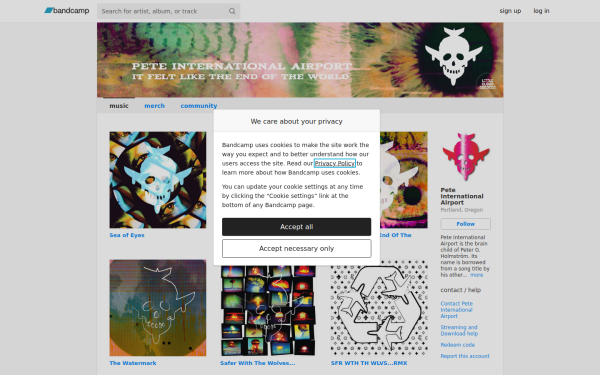 peteinternationalairport.bandcamp.com