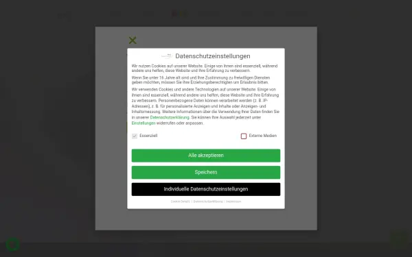 dmt-therapieplus.de