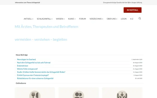 schlaganfallbegleitung.de