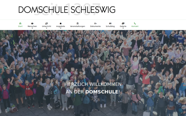 domschuleschleswig.de