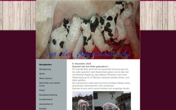 www.spinone.at