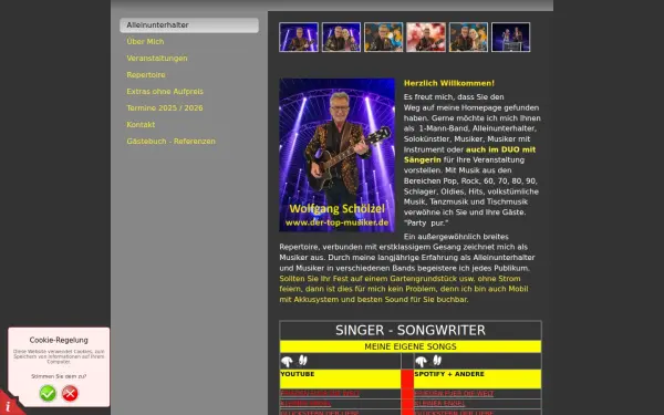 der-top-musiker.de