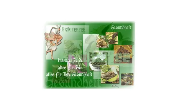 diekraeuterfee.de