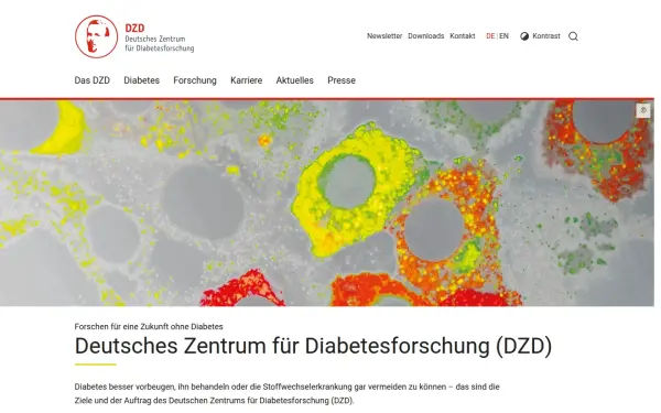 www.dzd-ev.de