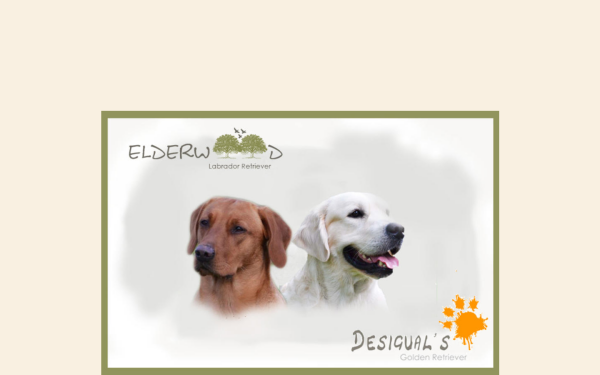 desiguals-retriever.at